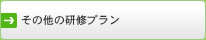 その他の研修プラン